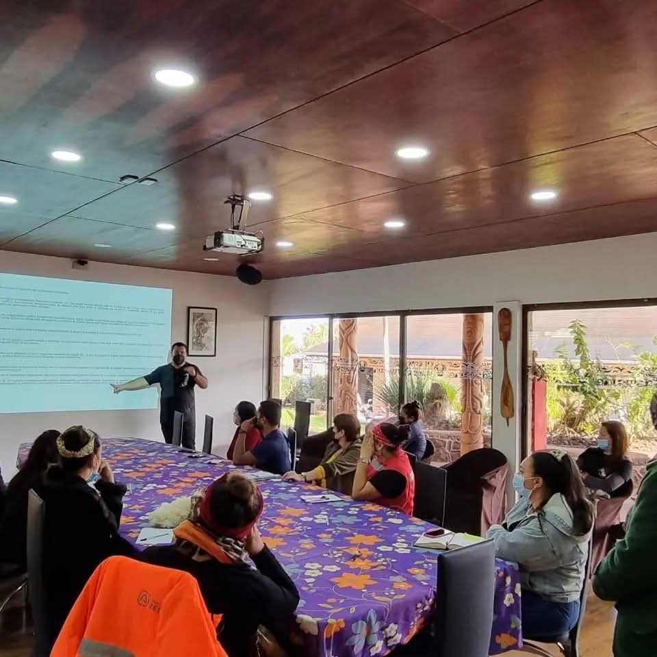 AJVALENZ Profesional